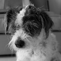 Image shows:  Terri Guren