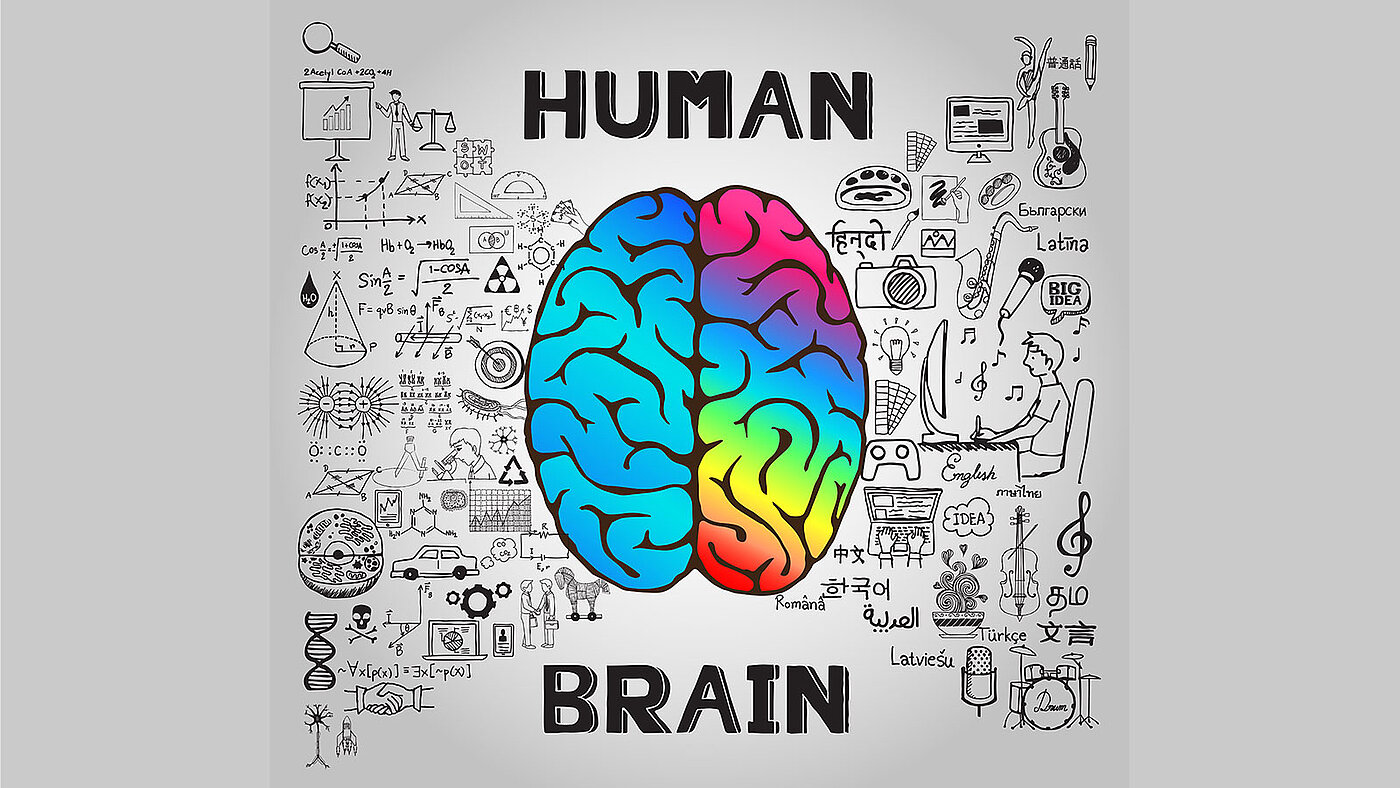 Content and cognition: Writing for the human mind