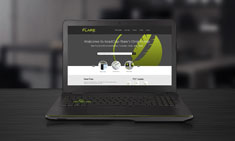 Flare 11 enhances HTML5 usability