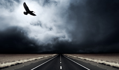 Language and localization industry shows robust growth